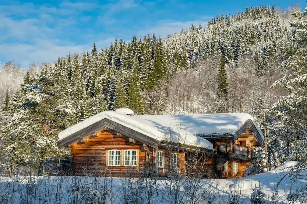 Outside of the Cabin